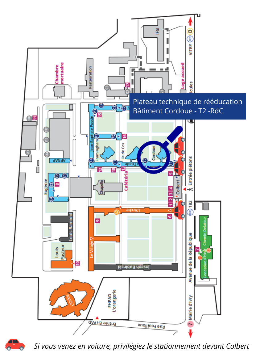 Plan CFX Kiné
